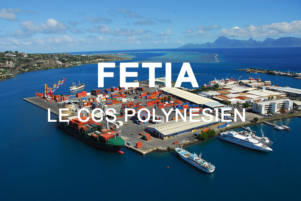 logo_fetia_3.png