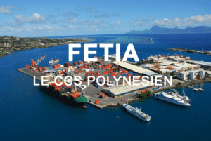 fetia logo 3
