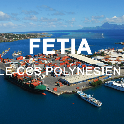 fetia logo 3